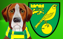 Norwich City News Hound